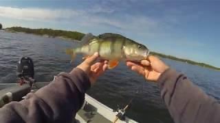 Sweden 2018 - Lake Vänern