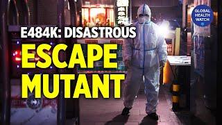 Disastrous COVID Immune Escape Mutants (including E484K)  | Global Watch | Dr. Sean Lin