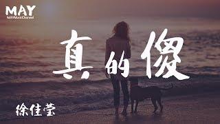 真的傻 徐佳莹 ( 高音质 无杂音 电影 一吻定情 主题曲 ) 【 我是真的想 】 动态歌词lyrics