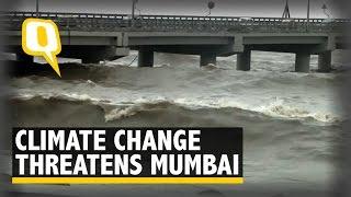 Mumbai Needs to Worry About Its Rising Sea-Level