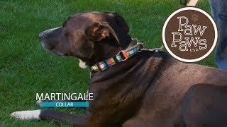 Paw Paws USA Martingale collar