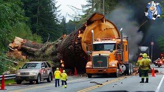 Transporting Wood This Way - Extremely Dangerous Large Chainsaw Fastest | Agriculture Technology