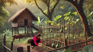 Green Farm Life – Building & Living Alone in the Deep Forest