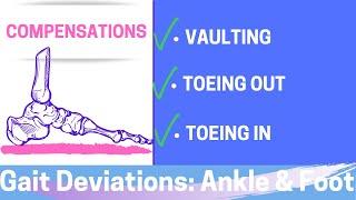 Gait Deviations: Compensations at Ankle & Foot