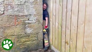 Brave fireman hears cries for help coming from between the walls