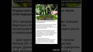 советы огородника