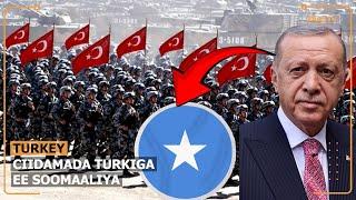 Madaxweynaha Turkiga oo sheegay in ciidamadiisa ku sugan Soomaaliya  ay gudanayaan waajibkooda