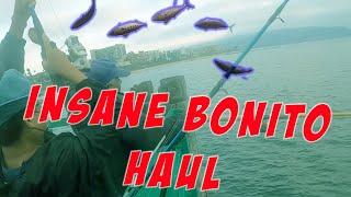 Tons of Bonito Redondo Beach!!! |Pier Fishing| Breakwall Redondo Beach Fishing Bonito| WET THAT LINE