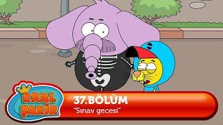Kral Şakir 37. Bölüm - Sınav Gecesi