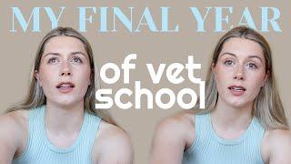 Starting my Final Year of Vet School . . . let's talk about it