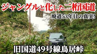 【廃道探検】昭和46年に廃道化し53年経った旧国道49号線のジャングル化した道をゆく! 峠には幻の白看板　鳥居峠　会津　新潟　福島県　ジムニーJB23