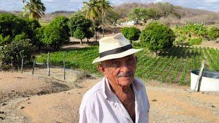 VAMOS CONHECER A AGRICULTURA IRRIGADA NO SERTÃO PERNAMBUCO, VEJA PLANTAÇÃO DE MILHO DE DIASIS MINOR.