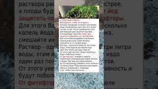 Полезные советы