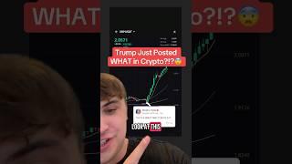 Trump Just Posted WHAT in Crypto?!?