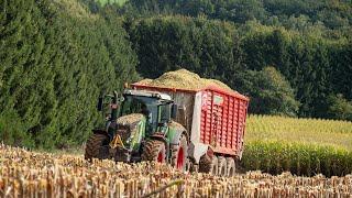 Ardennes - Chopping the Corn silage harvest in the hills / Fendt + John Deere / Taserag