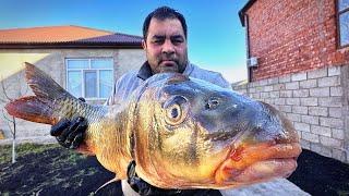 Caspian Carp Shashlik: How to Cut Fish Like a Pro!