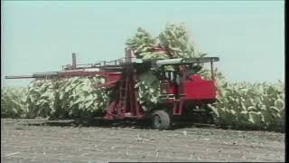 1985 Ag Engineering Automated Tobacco Harvester