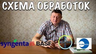 СПАСИТЕ СВОЙ ВИНОГРАДНИК ОТ БОЛЕЗНЕЙ! СХЕМА ОБРАБОТКИ ВИНОГРАДНИКА ОТ БОЛЕЗНЕЙ И ВРЕДИТЕЛЕЙ