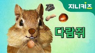 나무타기 선수, 다람쥐(squirrel) | 겨울잠 | 생생자연도감 | 어린이 자연관찰 Kids Science | 과학동화