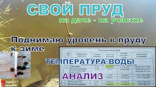 Свой пруд на даче. Готовим пруд к зиме. Температура и анализ воды в пруду. Пруд для рыбы на участке