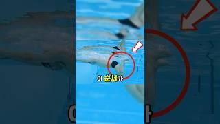 평영 타이밍 안맞는 분들 이거 1가지만 신경써주세요