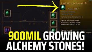 Life Of A Shai #46: Growing Sturdy Alchemy Stones!?- Black Desert Online