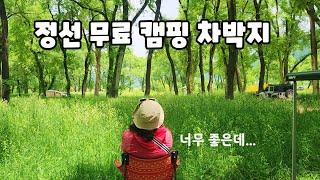 [ 정선차박 ] 정선 골지천 나무데크도 있는 노지캠핑차박지 ..숲이 너무 아름답다! ㅣ스타렉스캠핑카