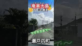 奄美大島　古仁屋裏道ぶらぶら　買い物#ごまぷる
