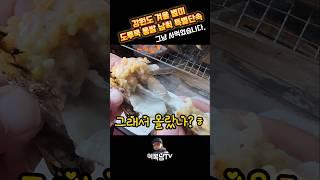 도루묵 통발 남획 특별단속 중 #도루묵 #양미리 #오징어난전