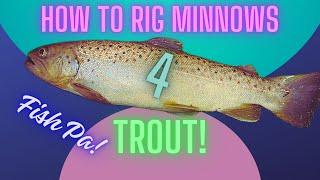 "How to Rig Minnows for Trout"
