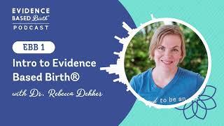 Intro to Evidence Based Birth®