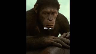 Caesar's First Disappointment in Humanity 