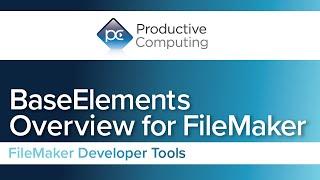 BaseElements Analysis Tool for Claris FileMaker - Overview and Highlights