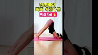 똥배 뱃살 안 빠진다면? 돌고래 플랭크로 뱃살 저격 #뱃살빼는법 #홈트레이닝 #플랭크