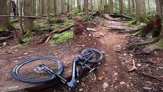 First ride on the new bike gone a bit too wild!