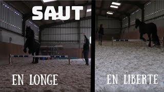 [EQUIVLOG] SAUT EN LONGE ET EN LIBERTE !