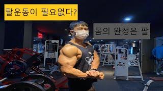 (필수시청)팔운동 안해도 된다고??운동초보는 무조건 해야하는 팔운동!