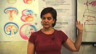 How to Work With Disk Injury - Amy Matthews [EmbodiedAnatomy.net]