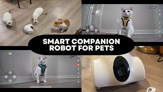 GULIGULI Smart Companion Robot For Pets - Unboxing & Review!