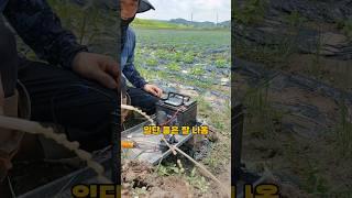물 차인 참깨밭, 삽질과 dc펌프로 물빼기