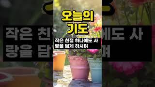 오늘의 기도 / 주님의 은혜로 시작하는 오늘의 기도 / 기도로 시작하는 하루