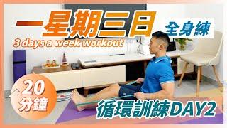 HIIT「背肌．三頭肌．腹肌」居家運動｜爆肌消脂．增肌運動｜1星期3天課循環訓練｜HIIT｜3 days a week workout｜Day2