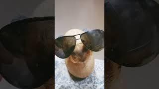 #блоптоп #реки #funny #капибара #прикол #миша #мем #попугай #гусь #блоп #актив #ачтописать
