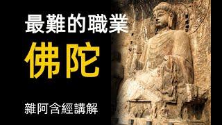 雜阿含經講解62 最難的職業 海市蜃樓 陽焰 Daily buddhist practice buddhism audiobook a level buddhism