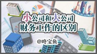 小公司和大公司财务工作的区别