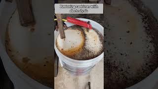 Cleaning/restoring a cast iron pan skillet with electrolysis. #shorts #satisfying #cleaning #diy