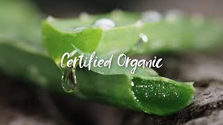 Organic Formulations - Trust What You Put On Your Skin (Hand Care Range)