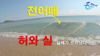 **후크맨** 쇼츠에 올린 영상의 허와 실 실체가 드러나다 #바다투망 #castnetfishing