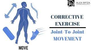 Joint - To - Joint Movement | Corrective Exercises | Corrective Care | Dr Alex Ritza