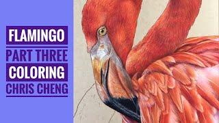 FLAMINGO - Part 3: Feathers Drawing // Chris Cheng